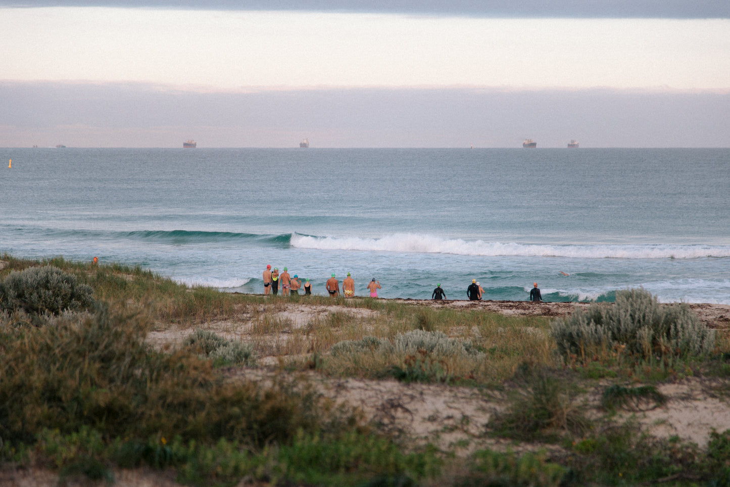 Swimmers of Freo