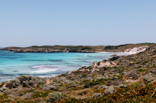 Rottnest Island