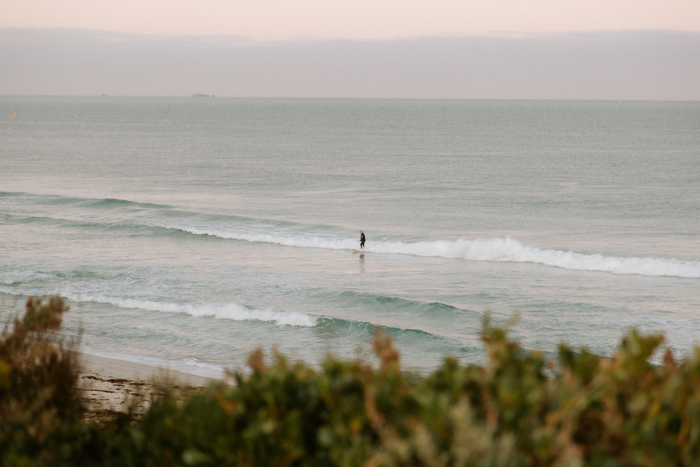 Leighton Surfer