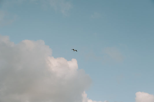 Cottesloe Skies